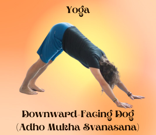 Yoga Poses for Instant Relief from Stomach Gas