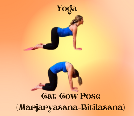 Yoga Poses for Instant Relief from Stomach Gas