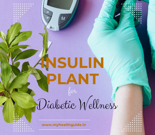 Insulin Plant
